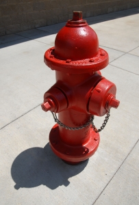 Fire hydrant in a city.