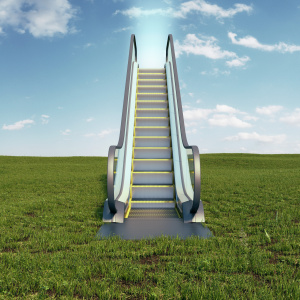 Escalator in the middle of a grassland showing easy toxic mold removal steps.